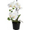 Butlers FLORISTA Orchidea v kvetináči 35 cm - biela