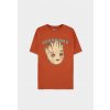 Marvel I am Grooten's Short Sleeved Regular Fit T-shirt Brown