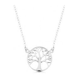 Šperky eshop Strieborný náhrdelník a prívesok lesklý strom života ...