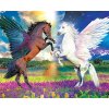 Diamantový obraz Okrídlené kone
