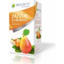 Megafyt Ovocný zázvor s hruškou 20 x 2 g