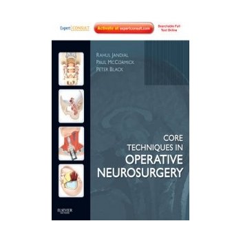 Core Techniques in Operative Neurosurgery