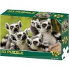 Lamps 3D puzzle Lemur 100 ks