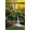 V nulovom stave