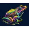 Zuty – Maľovanie Podľa Čísel – Farebná Žaba, 40 × 50 cm, Plátno + Rám 8596530075776