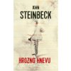 Hrozno hnevu - John Steinbeck