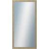 DANTIK - Zrkadlo v rámu, rozmer s rámom 60x120 cm z lišty ANDRÉ veľká Champagne (3158)