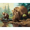 ZUTY Maľovanie podľa čísel - MEDVEĎ S MEDVIEĎATAMI PRI RIEKE (D. RUSTY RUST) Rámovanie: vypnuté plátno na rám, Rozmer: 80x100 cm
