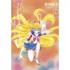 Codename: Sailor V Eternal Edition 1 Sailor Moon Eternal Edition 11