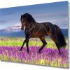 Sklenená doska na krájanie Kôň na poli levandule 60x52 cm