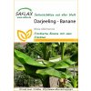 Saflax Banánovník Darjeeling - 1 bal.