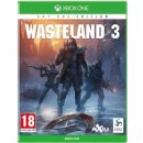 Wasteland 3