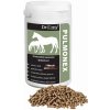 Dromy Pulmonex 1,5 kg