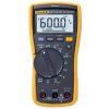 Digitálny multimeter Fluke 117 EUR (FLU2583647)