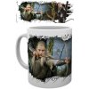 Hrnček Lord of the Rings - Legolas, 0,33 l