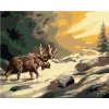 Zuty – Maľovanie podľa čísel – Los idúci v rieke a slnečné lúče (D. Rusty Rust), 40 × 50 cm, plátno 8596530177326