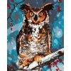 ZUTY Maľovanie podľa čísel - SOVA V LESE Rámovanie: vypnuté plátno na rám, Rozmer: 40x50 cm