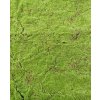 Umelá živá zelená stena MECH LUXE, 100 x 100cm