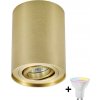 Zuma Line 94354-N - LED RGBW stmievateľné bodové svietidlo RONDOO 1xGU10/6W/230V zlaté + diaľkové ovládanie ZL0286+AI2383 + záruka 3 roky zadarmo
