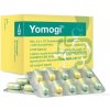 Yomogi cps.dur. 50 x 250 mg