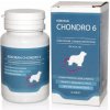 Univit Roboran Chondro 6 60 tbl