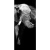 Fototapeta - DV1374 - Slon čierno-biely Samolepiaca fólia