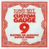 Ernie Ball 1009