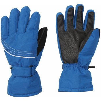 Crivit Pro dámske lyžiarske rukavice modrá od 5,99 € - Heureka.sk