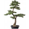 Bonsaj cedr v kvetináči, 100x60cm (umelá bonsaj)