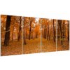 Obraz lesné cesty (Obraz 160x80cm)