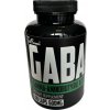 FitBoom Gaba 100 kapsúl
