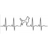 Artemiss Pes EKG plastová šablóna B 15 cm x 15 cm