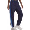 Under Armour UA Icon Crinkle Pant 6007112-403