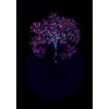 L'homme qui plantait des arbres