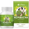 LIFTEA Kombucha EnzymAktiv kapsúl 60