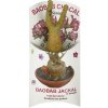 Contigo Sadenice baobabu šakal zo Senegalu, 1-2 roky