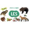 Otoč a nájdi: Les - INFOA
