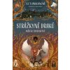 Strážkyně draků: Město tajemství - Liz Flanagan, Joe Todd-Stanton (ilustrátor)