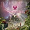 Various - Tomorrowland / The Arising Of Life / Summer 2013 / 2CD [2 CD]