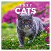 Poznámkový kalendář Kočky 2027 - nástěnný kalendář - autor neuvedený