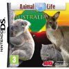 Animal Life: Australia