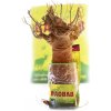 Contigo Sadenice baobabu zo Senegalu, 8-9 rokov