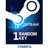 Powerful Random 1 Key (PC) Steam Key 10000338666001