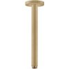 Sprchové rameno Hansgrohe strop kartáčovaný bronz 27389140