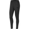 Nike nohavice nk dry academy pants cv2665-060