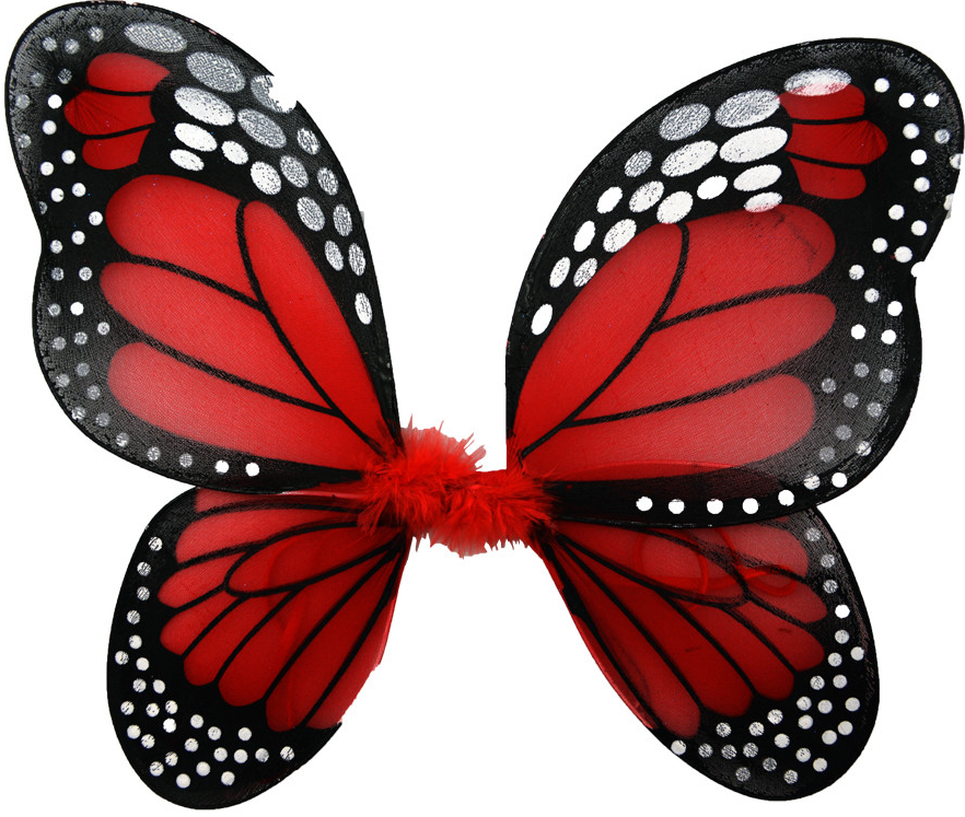 CARNIVAL FASHION Motýlie krídla 38x32 cm