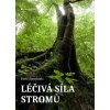 Léčivá síla stromů - Pavla Apostolaki