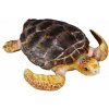 Collecta Korytnačka