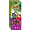 Avicentra Deluxe tyčinky s lesným ovocím pre malé hlodavce 2 x 60 g