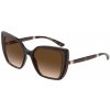Dolce & Gabbana DG6138 318513